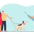 Dogs Vaccination