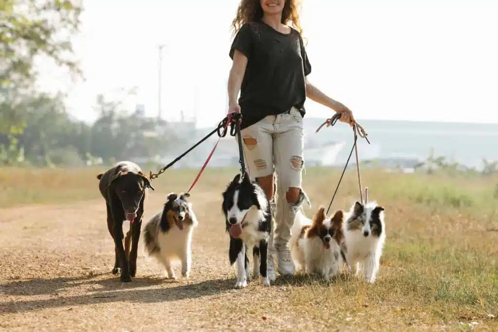 Dogs-breed-and-types-and-their- characteristics
