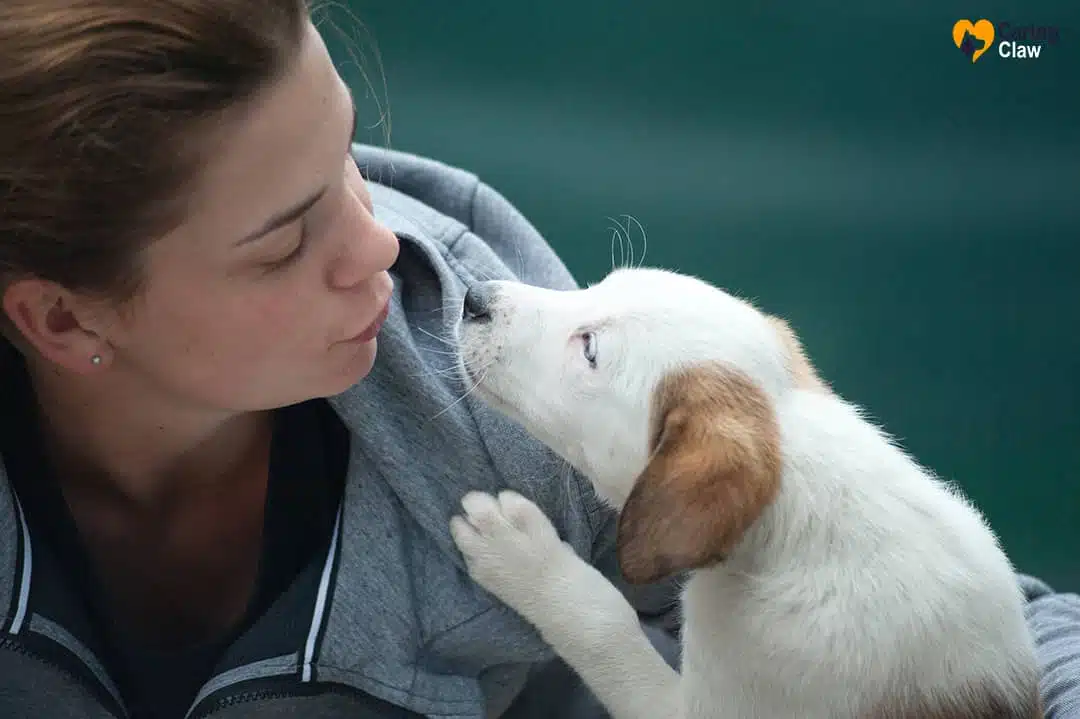 Importance-Of Dog-Health-And-Some-Tips