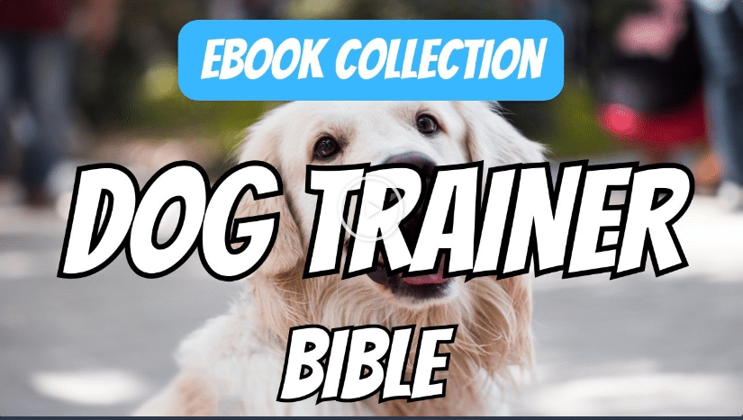 Dog-Trainer-Bible