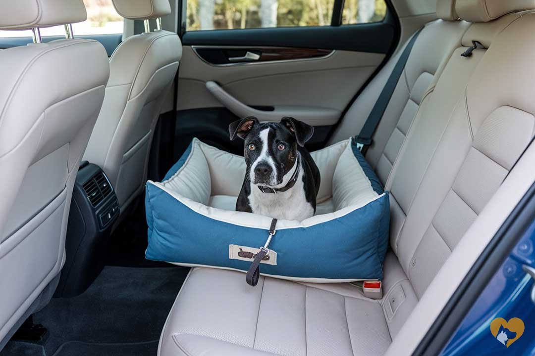 Dog-Car-Bed-1